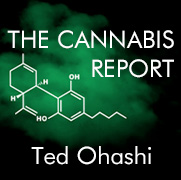 The Cannabis Report